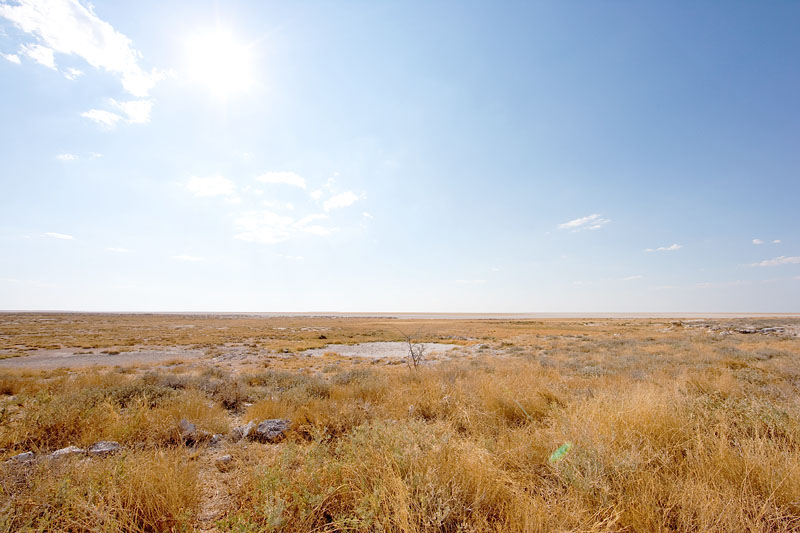 etosha041009-2.jpg