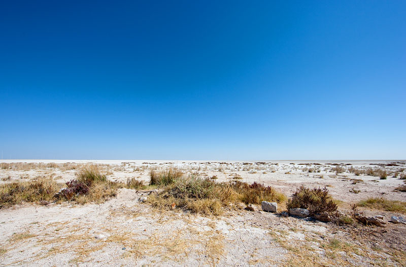 etosha041009-3.jpg