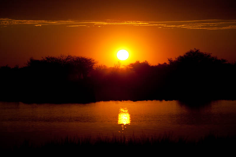 etosha071009-5.jpg