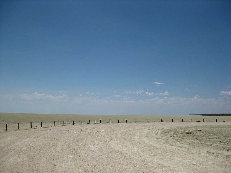 etosha071009-6.jpg