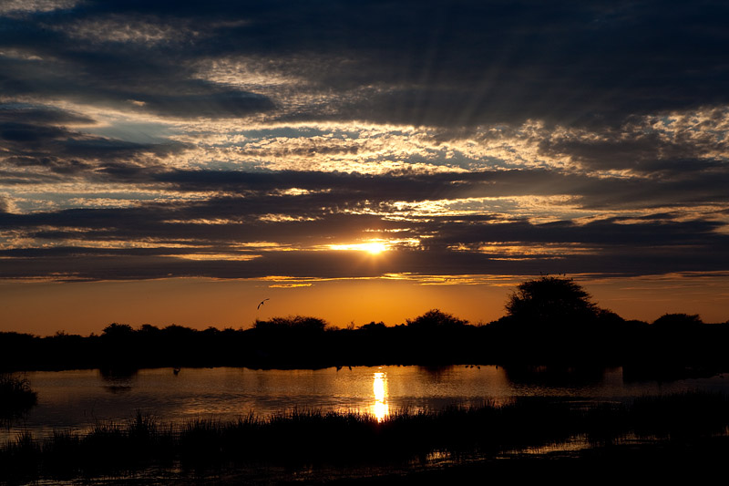 etosha081009-2.jpg