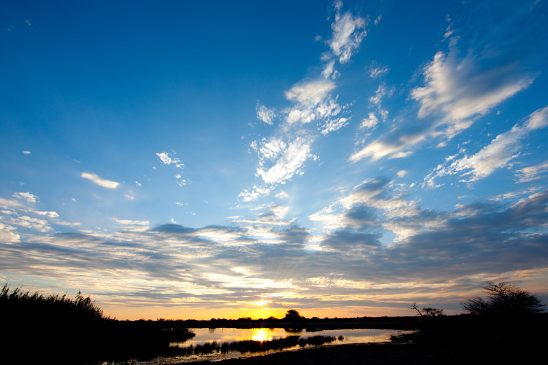 etosha081009-5.jpg