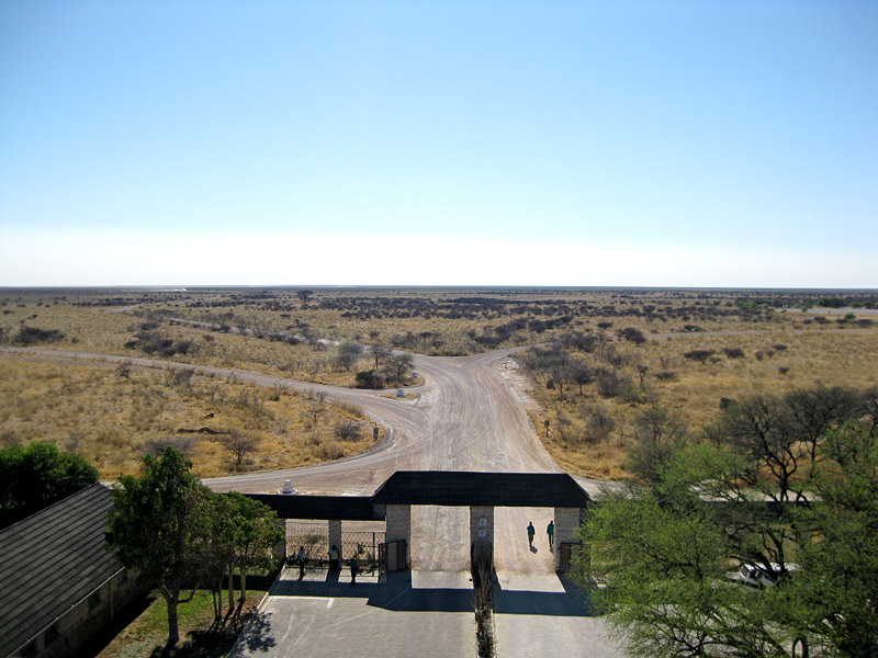 etosha091009-5.jpg