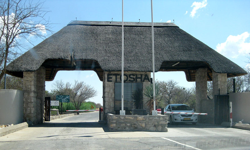 etosha6.jpg