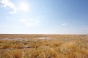 etosha041009-2
