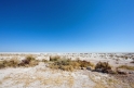 etosha041009-3