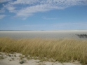 etosha051009-4