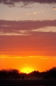 etosha071009-2