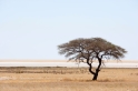 etosha081009-12