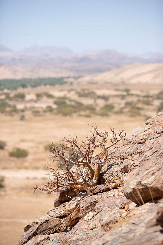 namibia011009-9.jpg
