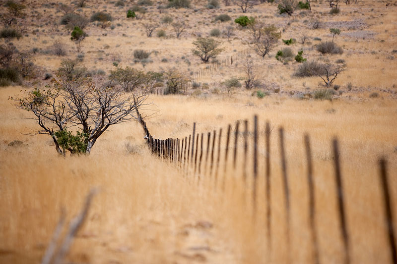 namibia021009-3.jpg