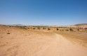 namibia011009-4