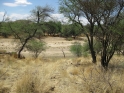 namibia101009-15