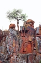 waterberg300909-25