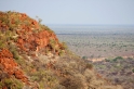 waterberg300909-3