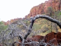waterberg300909-32