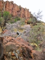 waterberg300909-35