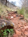 waterberg300909-38