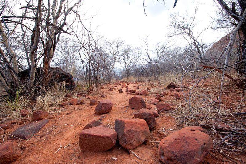 waterberg011009-1.jpg