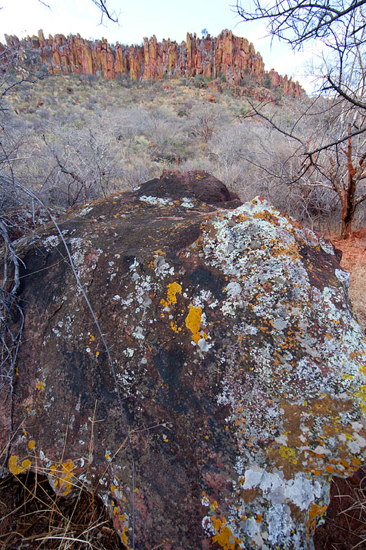 waterberg011009-3.jpg