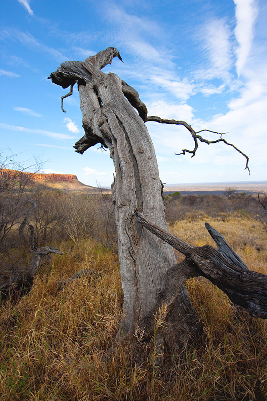 waterberg011009-7.jpg
