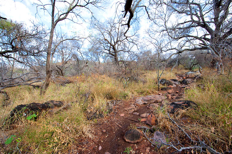 waterberg011009-8.jpg