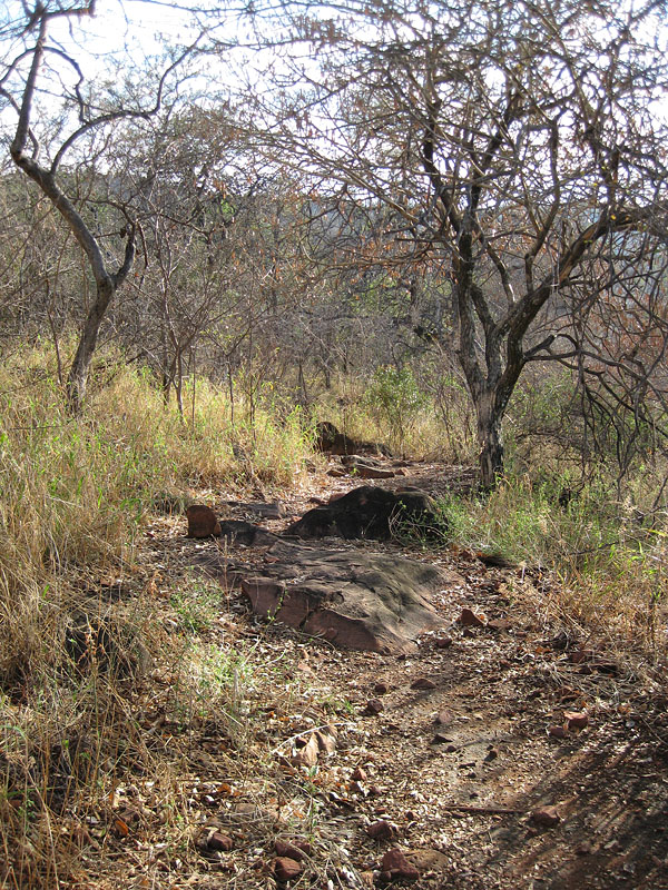 waterberg300909-45.jpg