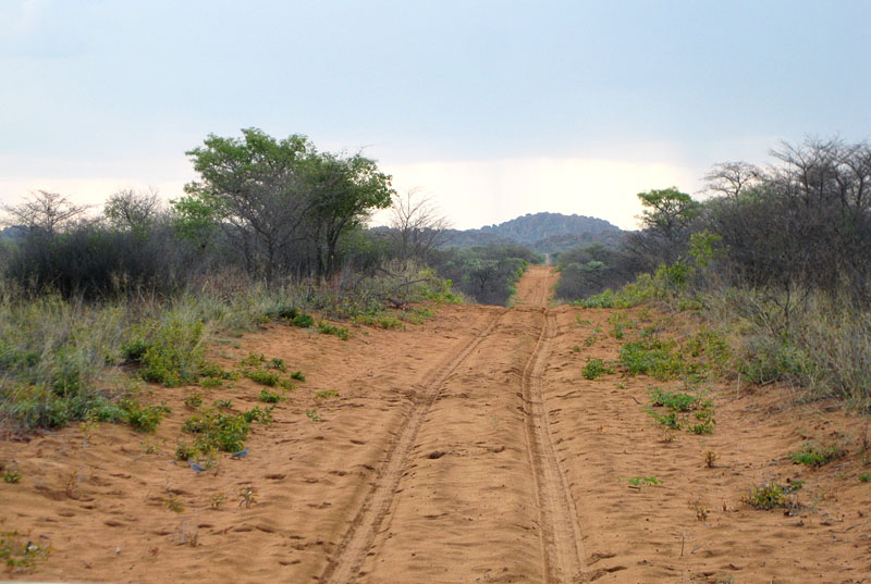 waterberg300909-48.jpg