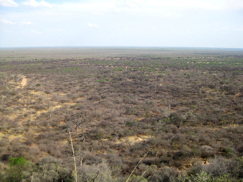 waterberg300909-49.jpg