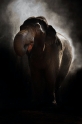 elefant180718-8