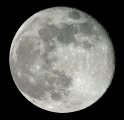 mond2