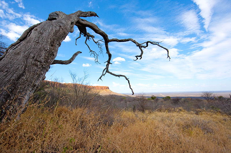 waterberg011009-6.jpg