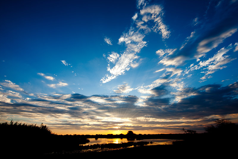 etosha081009-1.jpg