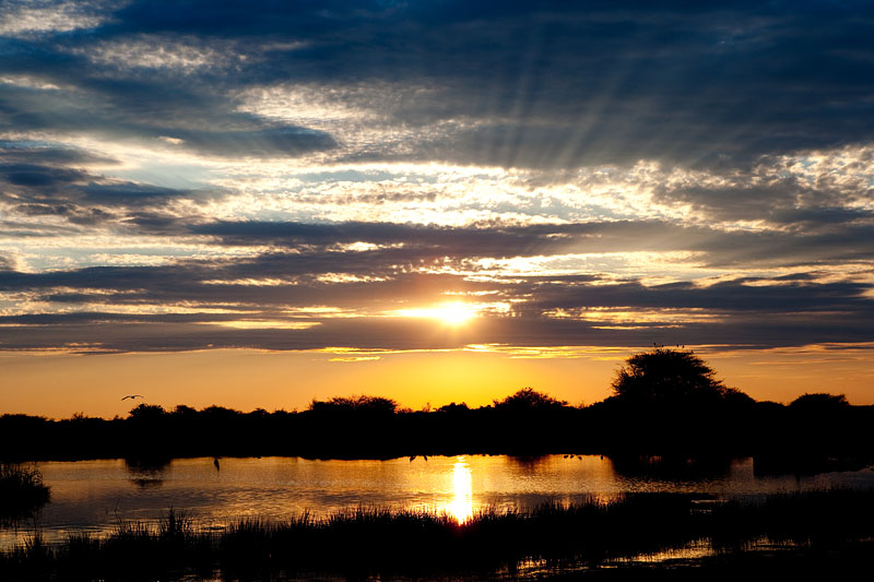 etosha081009-3.jpg