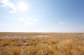 etosha041009-2