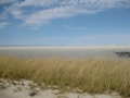 etosha051009-4