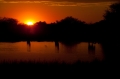 etosha071009-3