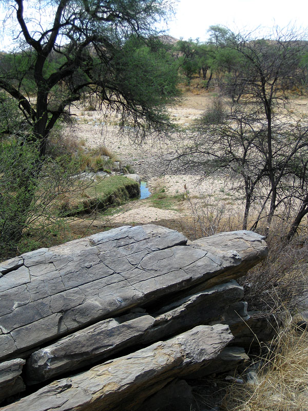 namibia101009-14.jpg