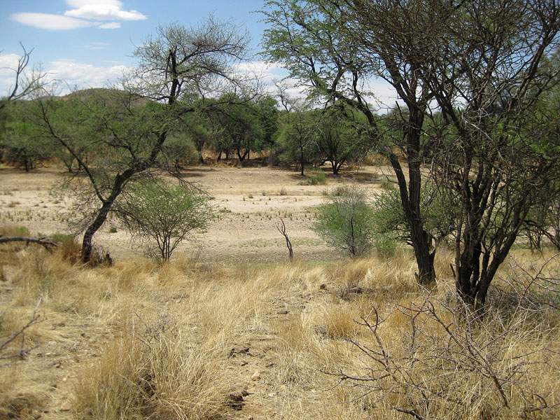 namibia101009-15.jpg