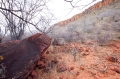 waterberg300909-12