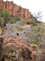 waterberg300909-35