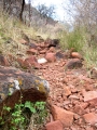 waterberg300909-38