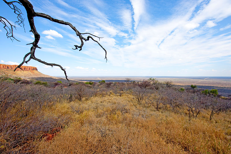 waterberg011009-5.jpg