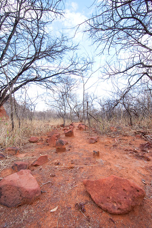 waterberg300909-13.jpg