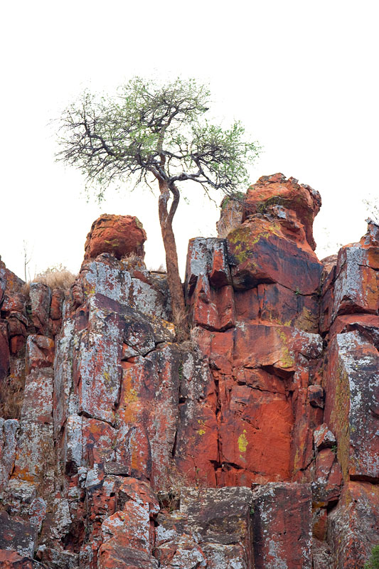 waterberg300909-25.jpg