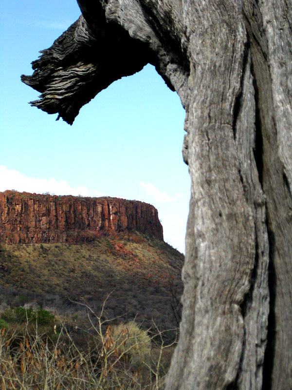 waterberg300909-42.jpg